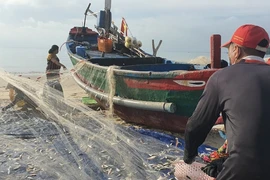 Ngư dân Vũng Tàu phấn khởi đi biển trở lại sau hơn 2 tháng giãn cách 