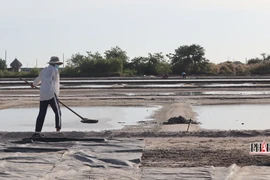 Bà Rịa - Vũng Tàu: Bãi bỏ quyết định về bồi thường không phù hợp Luật Đất đai