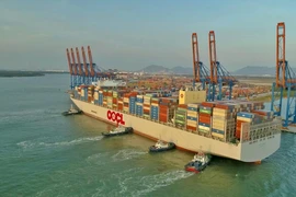 Bà Rịa-Vũng Tàu thoái hết vốn nhà nước tại 7 doanh nghiệp trong giai đoạn 2022-2025