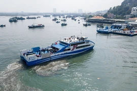 Phối hợp quản lý, khai thác tàu cao tốc, phà biển nối TP.HCM và Bà Rịa - Vũng Tàu