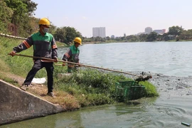 Khẩn trương khắc phục tạm tình trạng ô nhiễm hồ Bàu Sen Vũng Tàu
