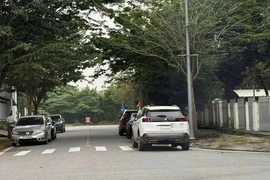 Người dân chụp ảnh gửi CSGT, nữ tài xế bị phạt vì đỗ xe ô tô chắn lối đi bộ