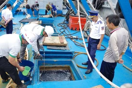 Cảnh sát biển bắt giữ tàu cá chở 100.000 lít dầu DO không có hoá đơn