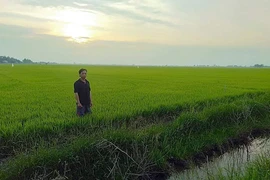 VKSND Cấp cao tại TP.HCM kháng nghị vụ án kéo dài 17 năm