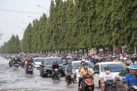 Tốc độ sụt lún chóng mặt ở ĐBSCL