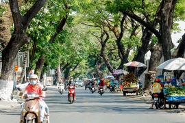 Cần sớm triển khai các dự án giao thông khu vực Tân Sơn Nhất
