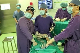 Lần đầu thực hiện thành công phẫu thuật nội soi ghép sụn khớp nhân tạo