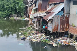 TP.HCM xử phạt nghiêm vi phạm về môi trường