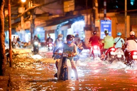 Lý do dự án ngăn triều lớn nhất TP.HCM vẫn đắp chiếu