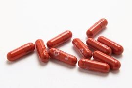 Pháp hủy đơn đặt hàng thuốc trị COVID-19 của Merck, chờ mua của Pfizer