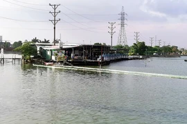 Hải Phòng: Tháo dỡ công trình vi phạm khu vực hồ Phương Lưu