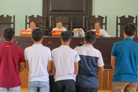 Vụ cưa gỗ khô: 'Cần trả lại sự trong sáng của pháp luật'