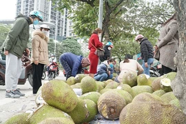 Gỡ khó nguồn cung bất ổn từ Trung Quốc