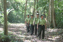 4 phương án làm cầu Mã Đà và đường nối Đồng Nai - Bình Phước