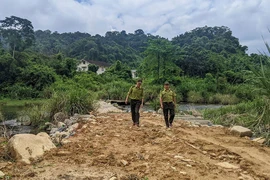 Thừa Thiên-Huế: Kiểm lâm phải leo rào vì đường cao tốc