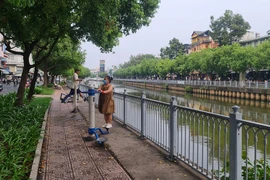 Xanh hóa những dòng kênh ở TP.HCM 
