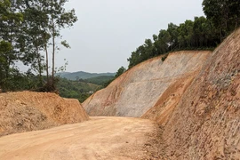 Chưa chuyển đổi đất rừng đã san ủi làm đường