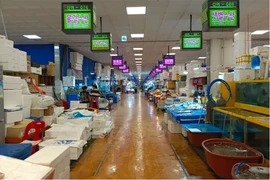 Hàn Quốc nỗ lực bảo vệ ngành đánh bắt giữa tin Nhật xả thải