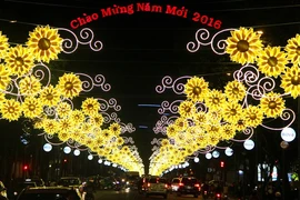 Phố Sài Gòn rực rỡ đèn hoa đón mùa xuân mới