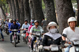 Ngắm hàng cây cổ thụ Sài Gòn trước giờ bị đốn hạ 