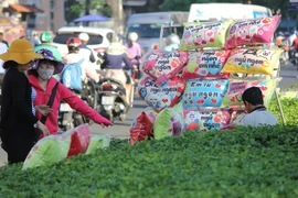 “Con đường tình yêu” rực rỡ quà và hoa Valentine