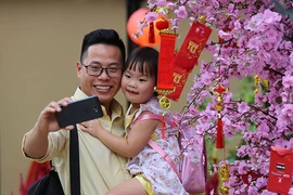 'Đến công viên Lê Văn Tám là thấy tết'