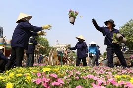 Hé lộ đường hoa Nguyễn Huệ trước ngày khai mạc