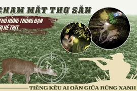 Điều tra: Chạm mặt cánh thợ săn, thú rừng Vườn quốc gia Cát Tiên trúng đạn và bị xẻ thịt 