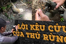Infographic: Động vật trong Sách đỏ và cam kết từ quán nhậu '100% thú rừng còn sống'