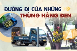 ĐIỀU TRA Bài 2: Đường đi tinh vi của những thùng thuốc cấm