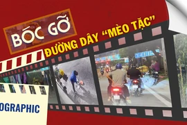 Infographic: Bóc gỡ đường dây 'mèo tặc' tại TP.HCM 