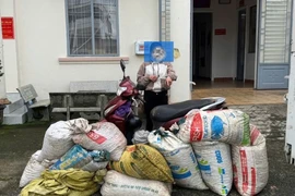 Nữ “đạo chích” đang hái trộm cà phê ở Lâm Đồng thì bị bắt quả tang