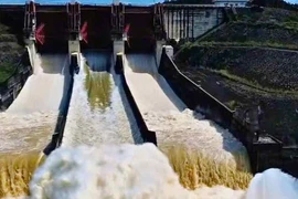 Lâm Đồng yêu cầu các thủy điện trên sông Đồng Nai xả nước, tạo dung tích phòng lũ