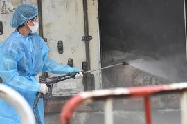 Vụ hổ chết hàng loạt: Truy tìm nguồn lây cúm A/H5N1
