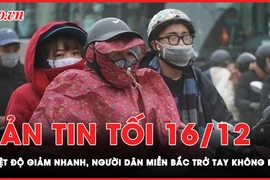 Bản tin tối 16-12: Không khí lạnh bao phủ Bắc Bộ, người dân trở tay không kịp