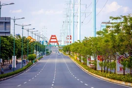Sài Gòn xanh xao ư, không, Sài Gòn vẫn xanh tươi!