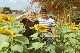 Tết này giới trẻ mang gì về cho mẹ?