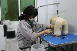 'Cháy phòng' ... khách sạn cho thú cưng dịp Tết