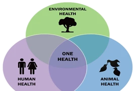 Một Sức khỏe - giải pháp ngăn chặn các đại dịch tiềm tàng trong tương lai?