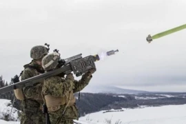 Ukrinform:Đức duyệt gửi Ukraine 2.700 tên lửa đất đối không vác vai thời Liên Xô