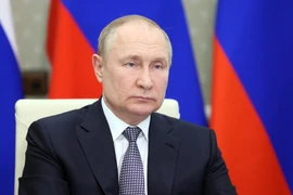 Chuyên gia: Ông Putin trước 'áp lực kép' 