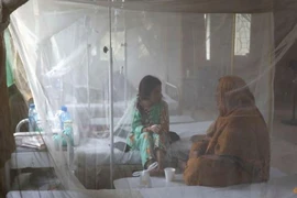 Bệnh nhân sốt rét đang điều trị tại cơ sở y tế ở tỉnh Sindh (Pakistan) ngày 21-9. Ảnh: REUTERS