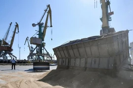 Ngoại trưởng Nga: LHQ hứa dỡ bỏ các hạn chế về xuất khẩu ngũ cốc Nga. Ảnh: SPUTNIK