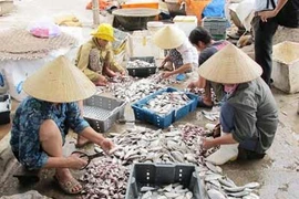 Đòi tiền lời bán cá mà không tính tiền lỗ được không? 