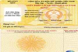 Mất giấy phép lái xe, có được cấp lại? 