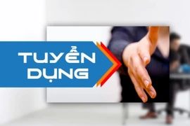Phạt 1 Công ty dịch vụ việc làm không có giấy phép 