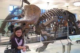 Bảo tàng ở New York cấm của “gậy tự sướng”