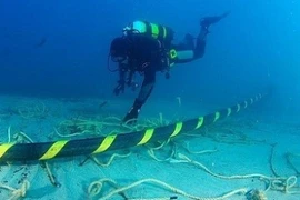 Cáp quang biển AAG lại bị đứt, Internet đi quốc tế gián đoạn