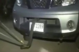 Clip: Kinh hoàng khi phát hiện rắn hổ mang trong xe ô tô