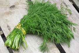 Loại rau giúp giảm lượng đường trong máu và chống ung thư